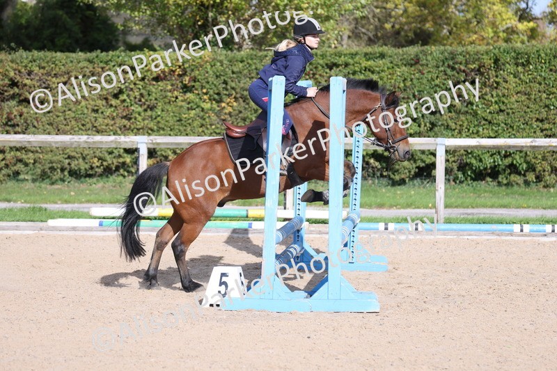 20251005-0346 - Class 3 - 60cm