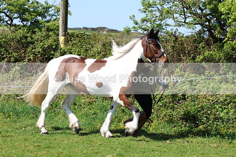 3E7A9356 - Class 16: Best Grass Kept