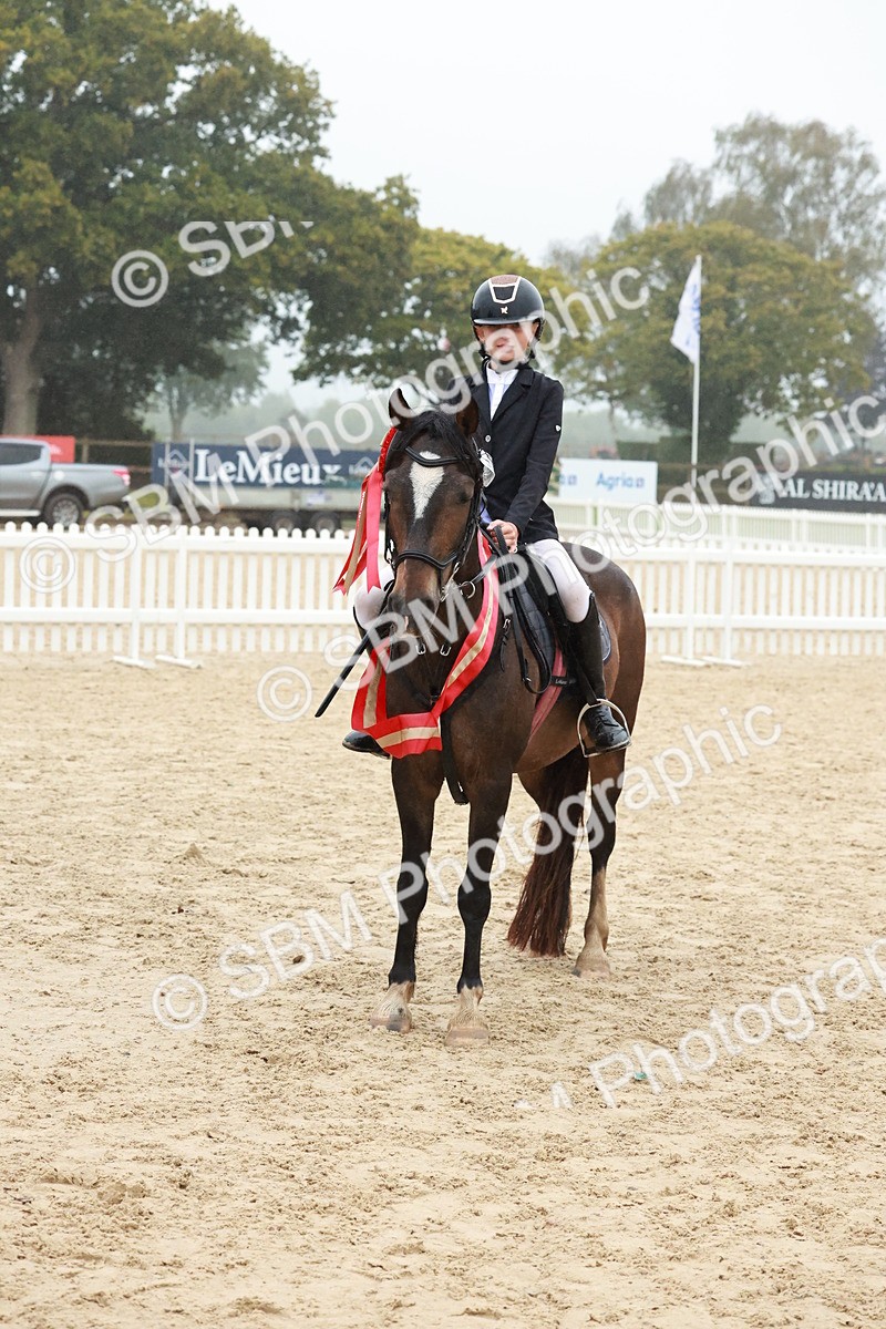 SBM_73456 - Supreme Championship Junior Pony 60cm & 65cm