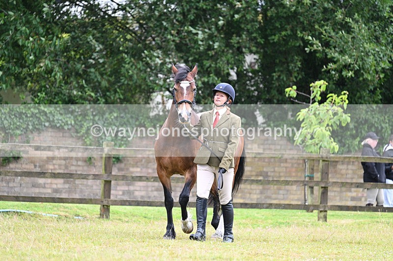 WJ7_6229 - Class 4a Prettiest Mare over 14hh
