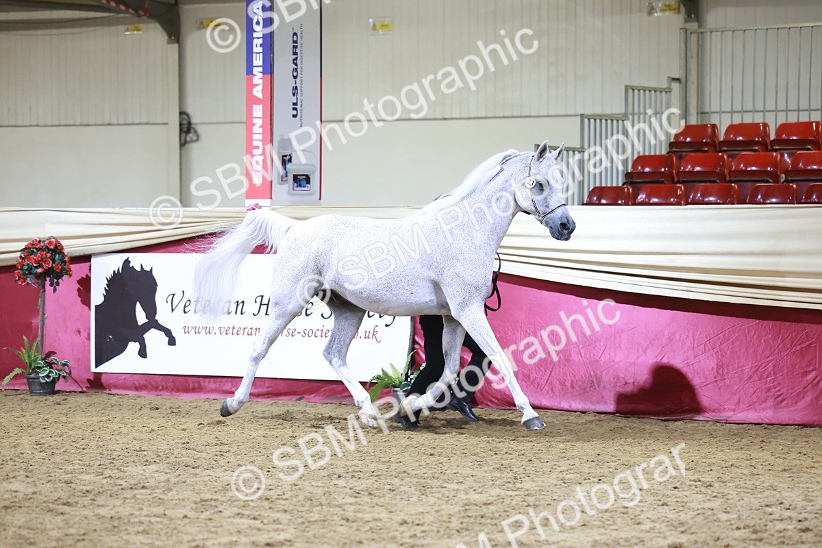 SBM_20679 - Class J - Foreign Breeds Champ