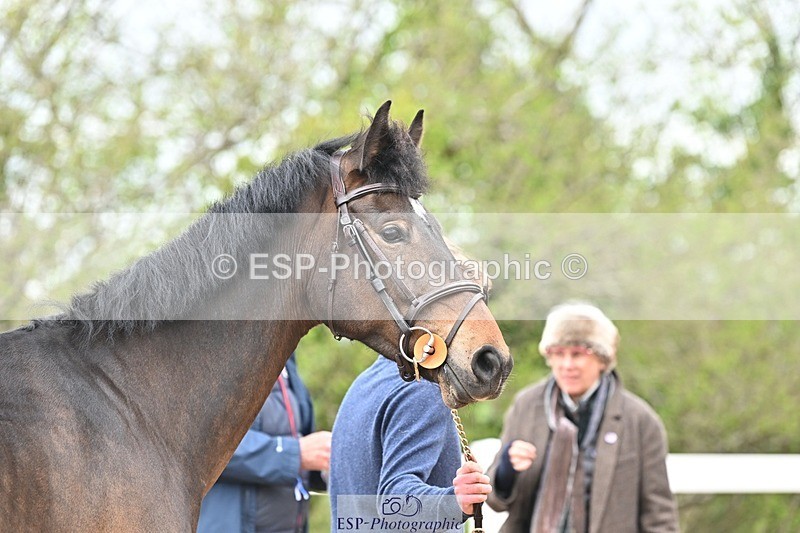 250423-150659-01424 - 3pm to 4pm