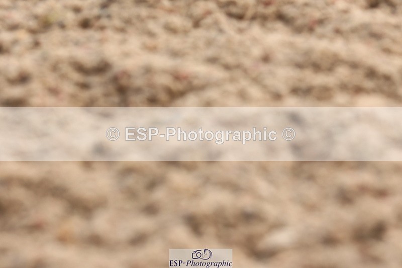 240622A-091953-07055 - Cls 24 BD Prelim 15