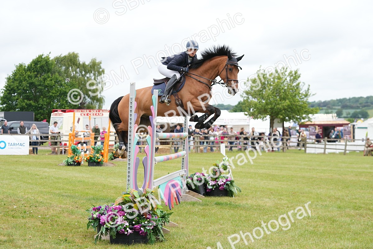 SBM_05111 - Class 201 - British Horse Feeds Speedi Beet Horse of the Year Show Grade  C
