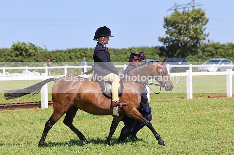 IMG_2204 - Class 36: Part Bred Ridden M & M