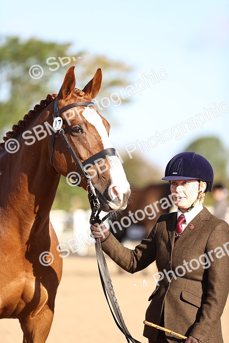 SBM_08353 - Class 401 - IH Veteran Horse