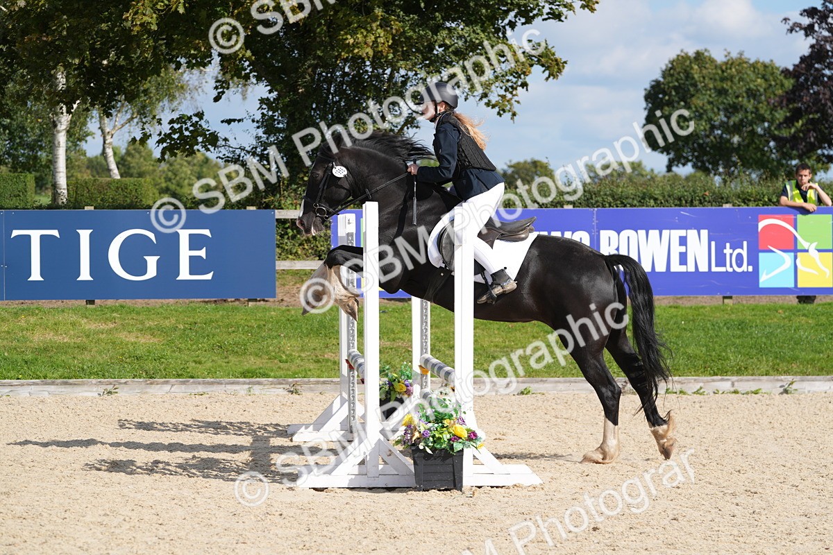 SBM_48552 - J22 - Junior Horse 65cm Championship