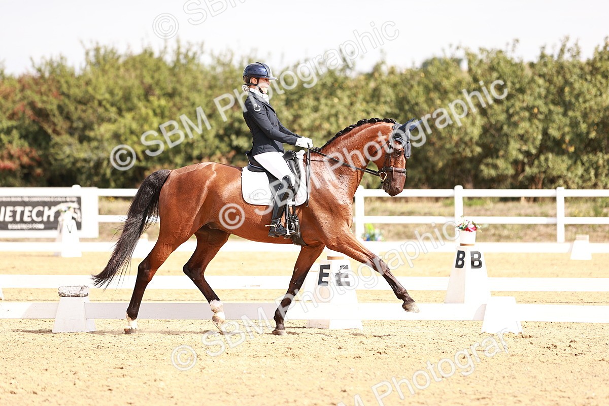 SBM_017649 - Class 11 - Advanced Medium 6