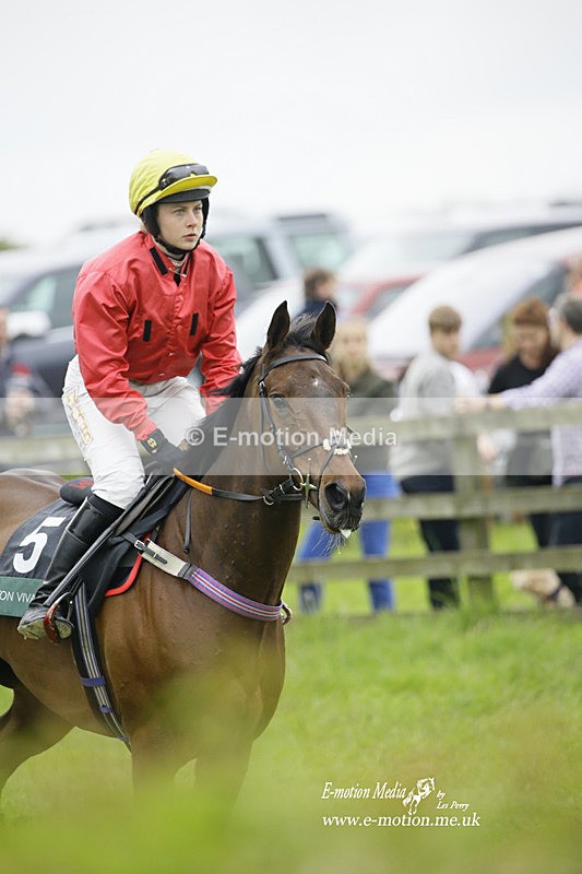 PtP 020522 274 - Mollington Races Point-to-Point 02/05/22