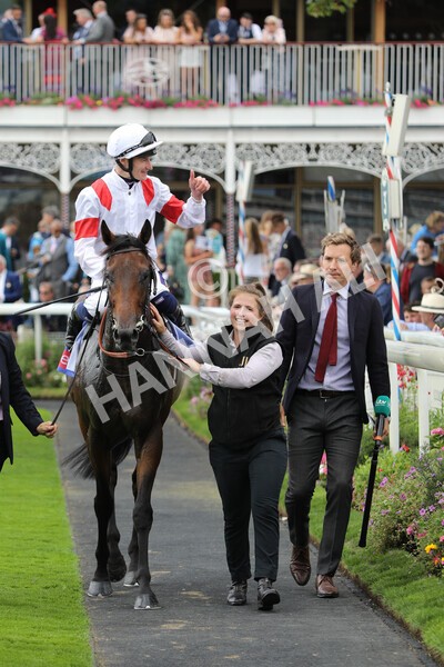 yr17082022r3-53 - Race 3 3.00pm Sky Bet Great Voltigeur Stakes