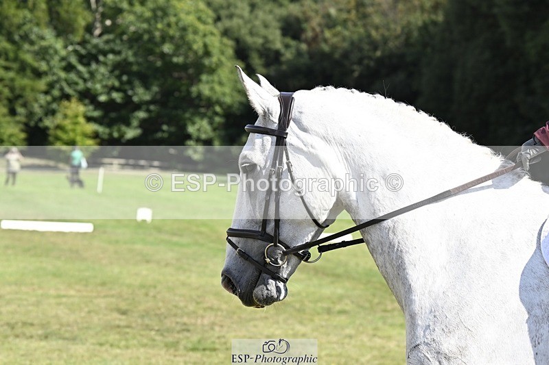 250822A-111316-22160 - DR 11.00 to 12.00