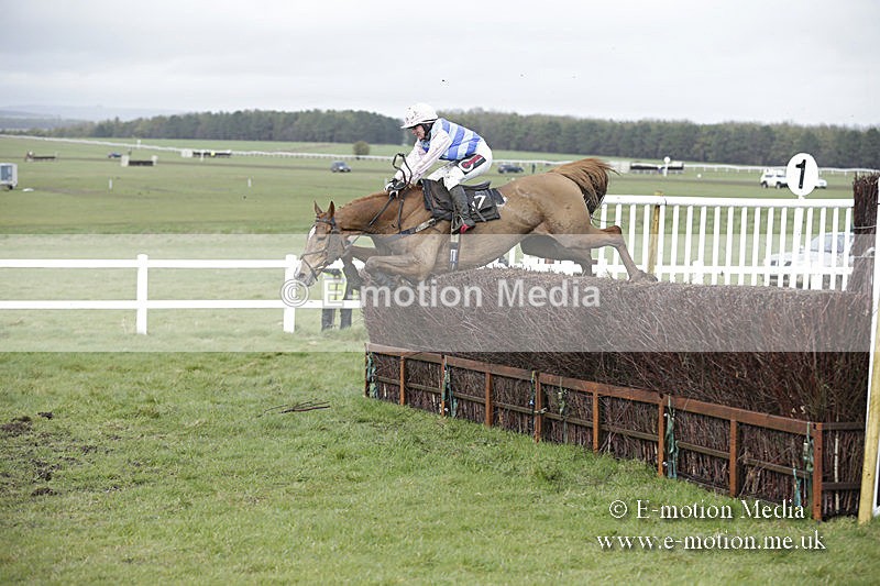 PtP 150320 0435 - New Forest Point-to-Point Larkhill 15/03/20