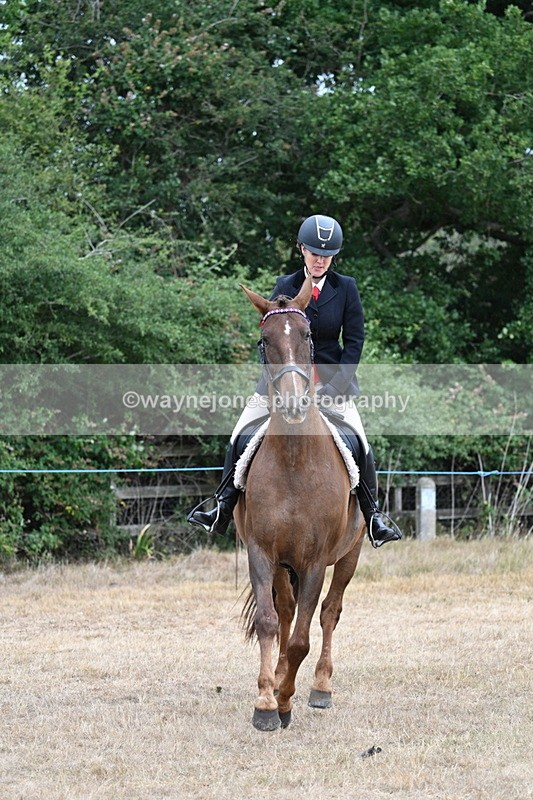 WJ7_0833 - Class 7 Riding Club Show Horse