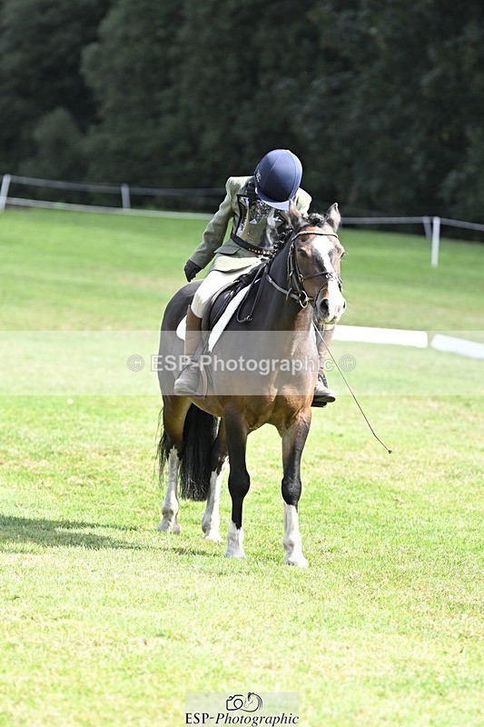 250821A-103846-14450 - DR 10.00 to 11.00