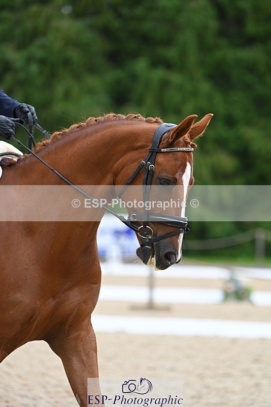 230813-151707-08166 - Cls 14 Medium Silver Start to 16.25 break