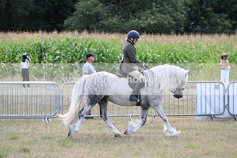 WJ7_5589 - Class 12 Ridden Cob