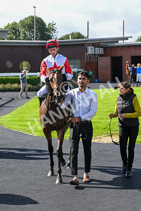 080926-Race 2-Queen Sana-1954 - Race 2 2.28pm Racing TV Club Day Restricted Maiden Stakes