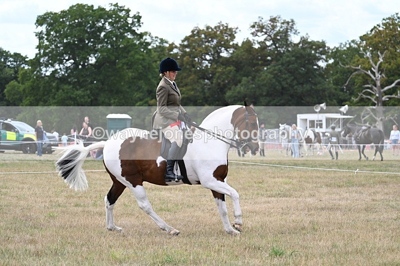 WJ7_5647 - Class 12 Ridden Cob