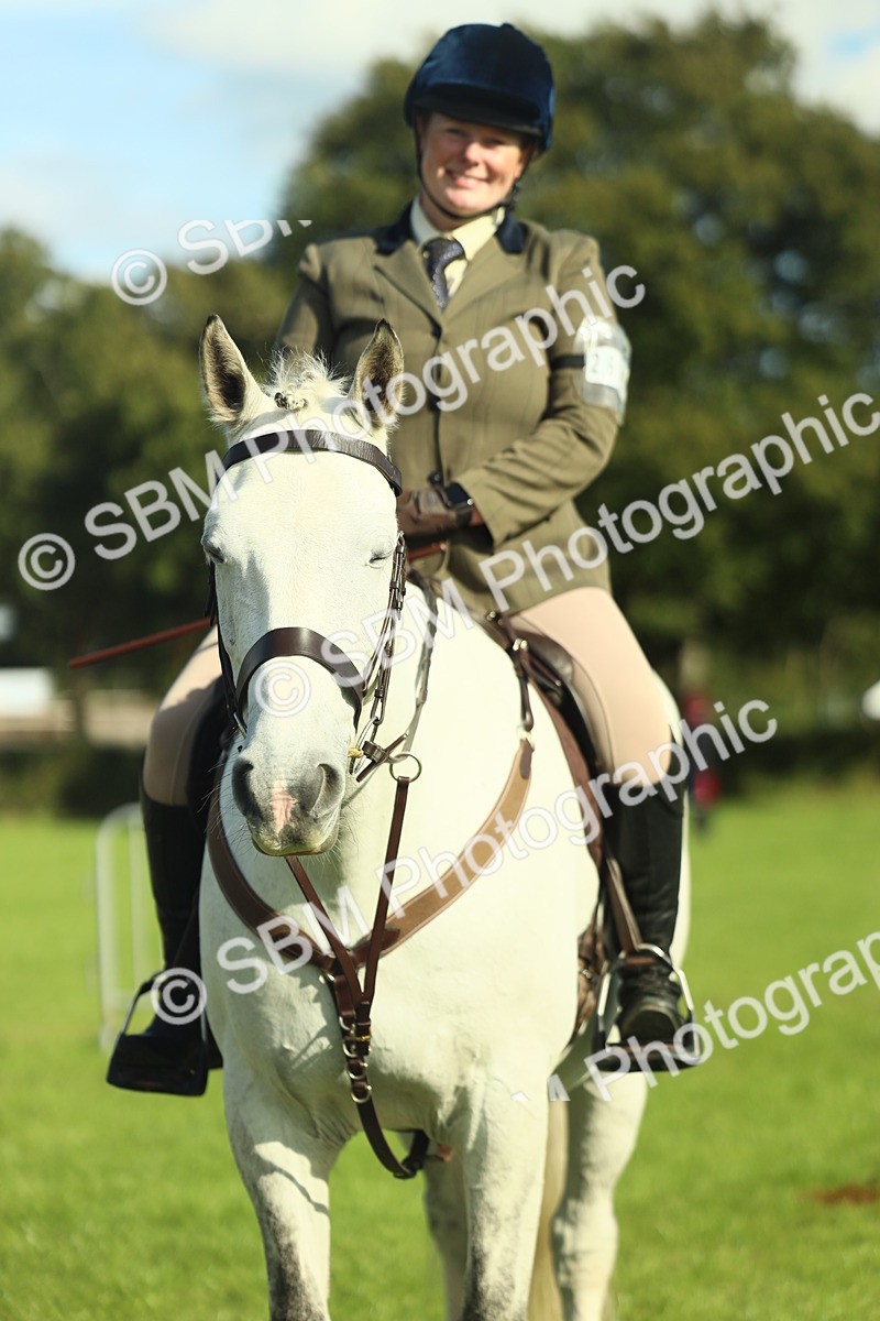 SBM_49843 - S32 - Novice & Newcomers Working Hunter