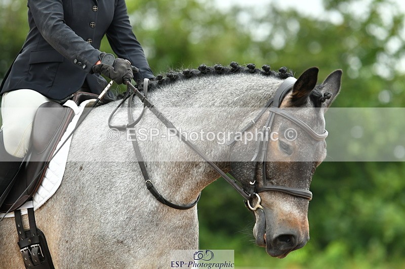 230708A-105923-02461 - Prelim 13