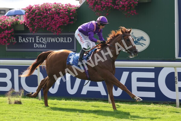 yr05092021r3-13 - Race 3 3.15pm The BioWaveGo Garrowby Stakes