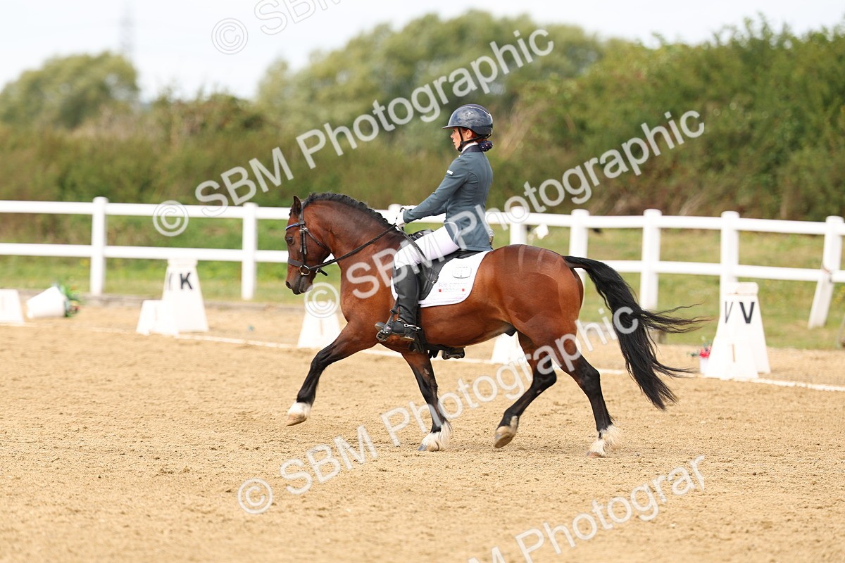 SBM_012419 - class 5 - Elementary 53 - 12.00-13.08