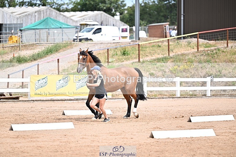 250716-132550-00507 - Trot Up 12.30 to 1.30