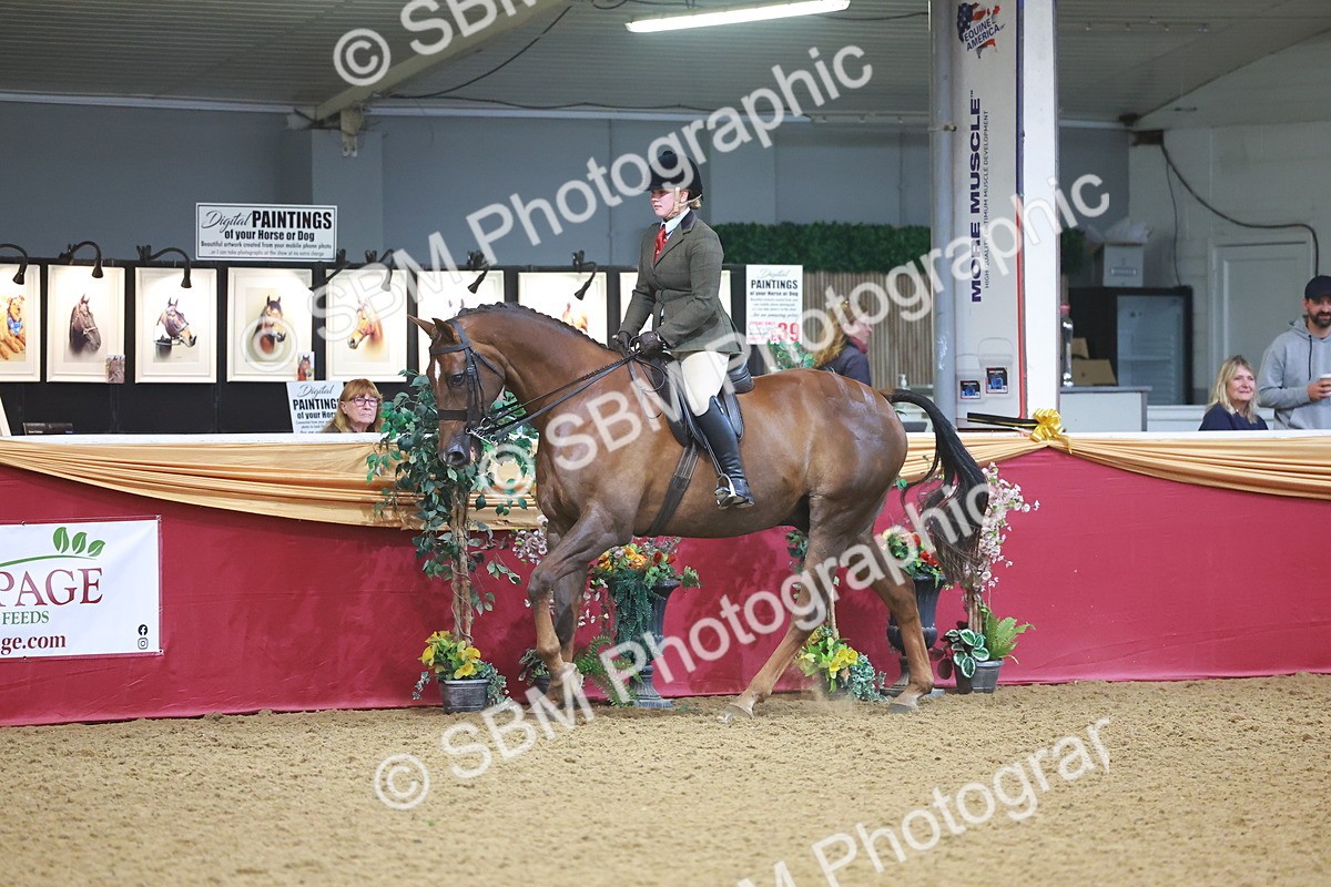 SBM_09674 - Class 102 - HOYS Veteran Qualifier - Ridden Veteran