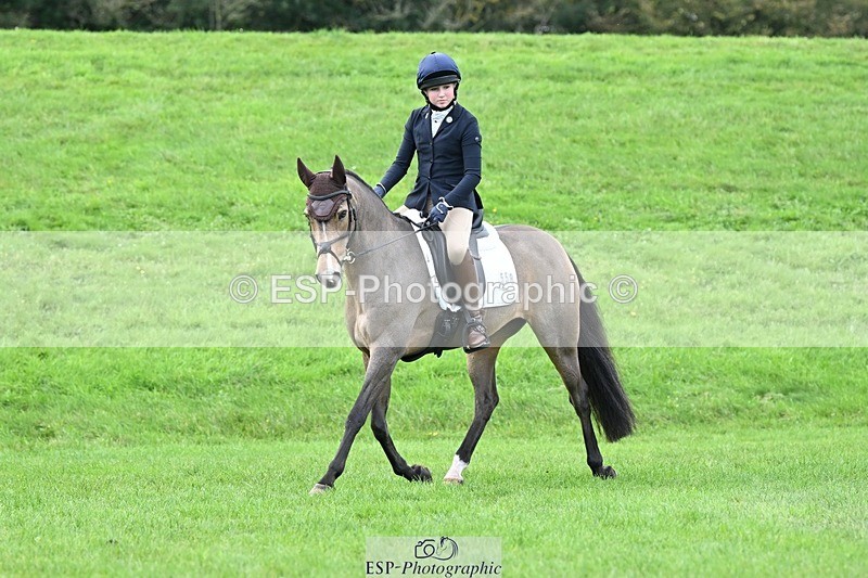 231020-161149-11623 - 558-BATHLEYHILLS.GOLDEN.SPRAY-Cleo.Whitbread-DR