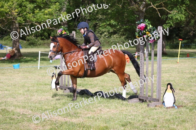 20260614-0485 - Class 20 - Beginners Working Hunter Pony