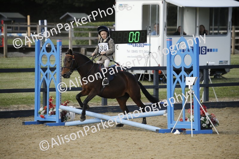 20250622-1602 - 40cm