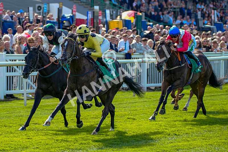 050926-Race 2-This Moment-5 - Race 2 2.05pm JW4X4 Northallerton Nursery Handicap