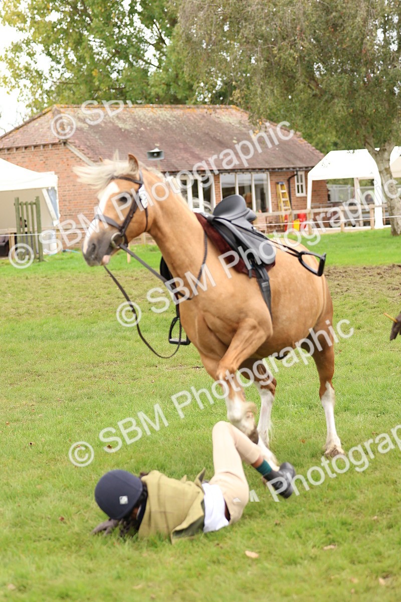 SBM_64578 - S58 - Coloured Pony Ridden