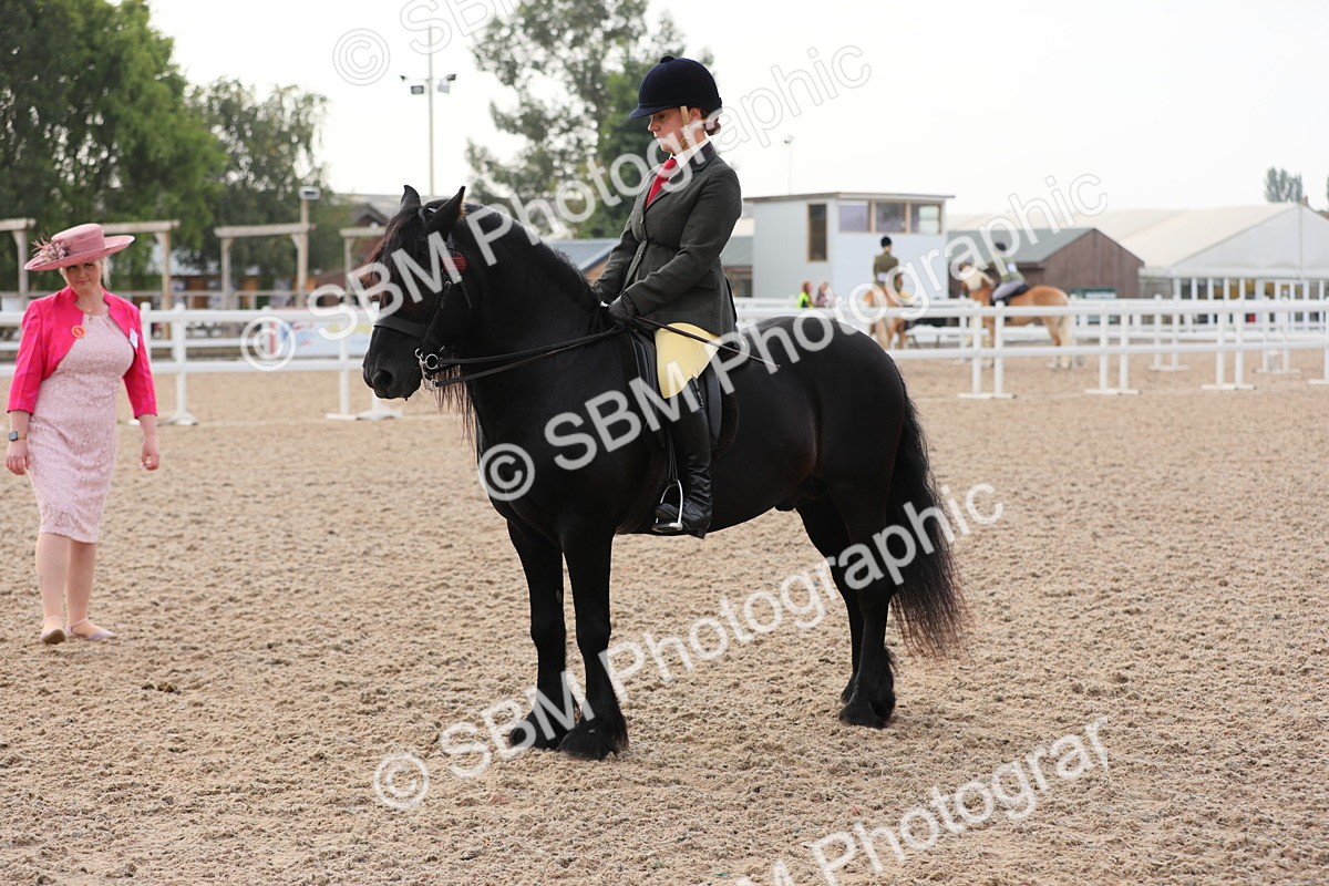 SBM_10038 - Class 302 Ridden M&M -Large Breeds