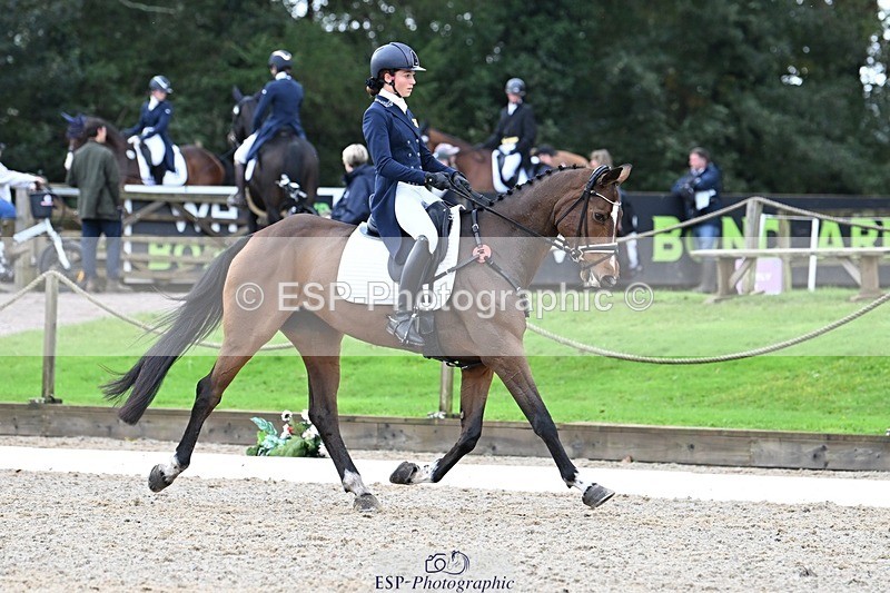 231019-122253-02748 - 044-COOLEY.ON.THE.CARDS-Charlotte.Cooke-DR