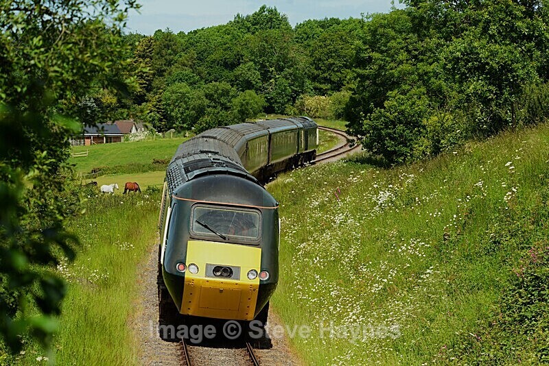 8th June 2024 - West Somerset Railway