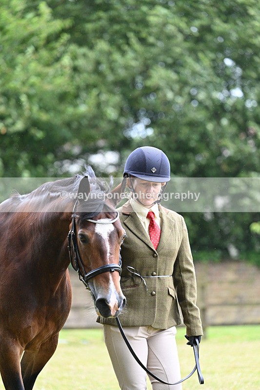 WJ7_6247 - Class 4a Prettiest Mare over 14hh