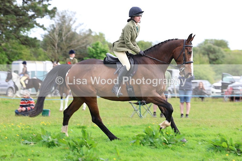 3E7A2507 - Classes 30 and 31: 80cm Working Hunter