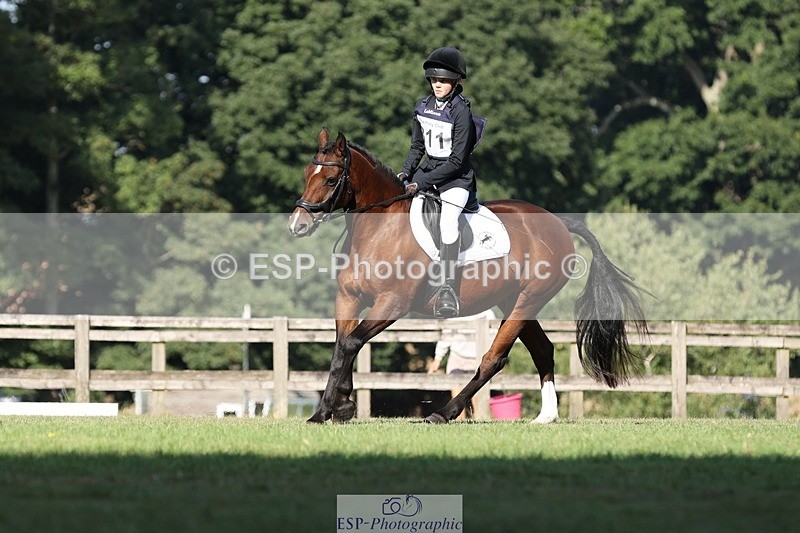 250823A-093314-26016 - Arena D