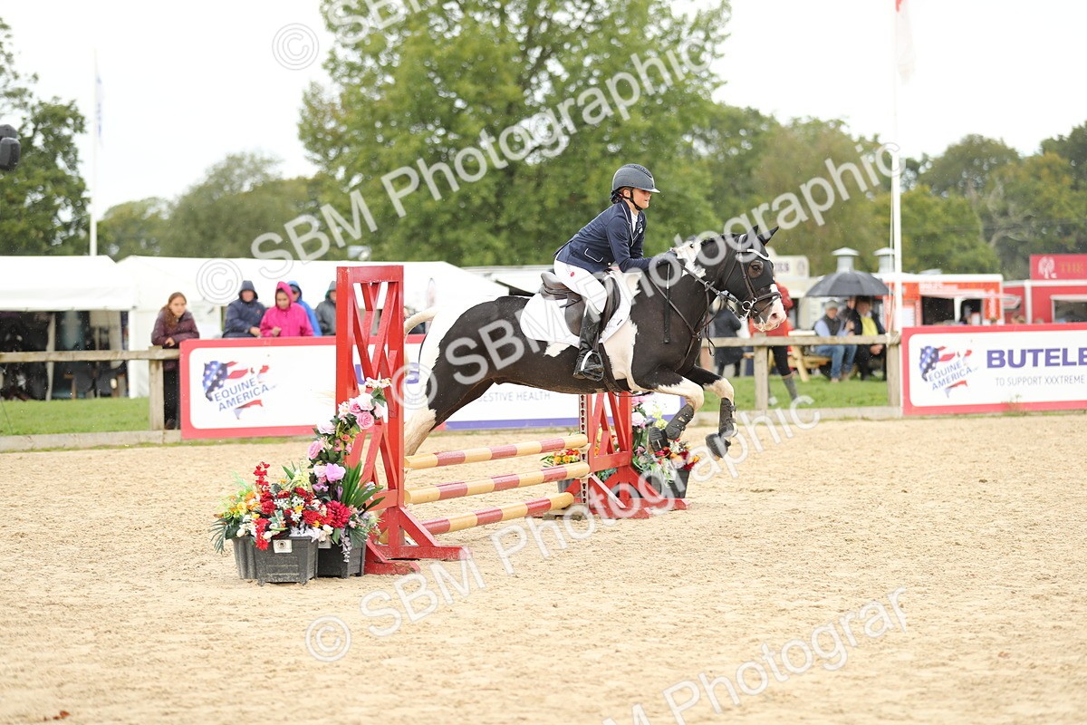 SBM_40406 - J21 - Junior Horse 60cm Championship