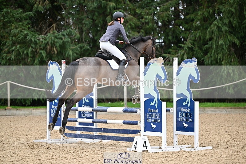 250201A-102526-00220 - Cls 01 Local Horse 90cm