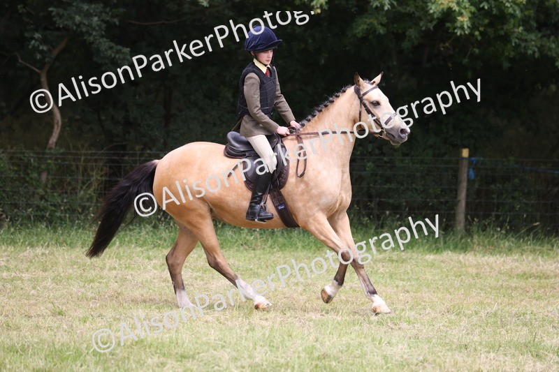 20260614-2974 - Class 22 - Open Working Hunter