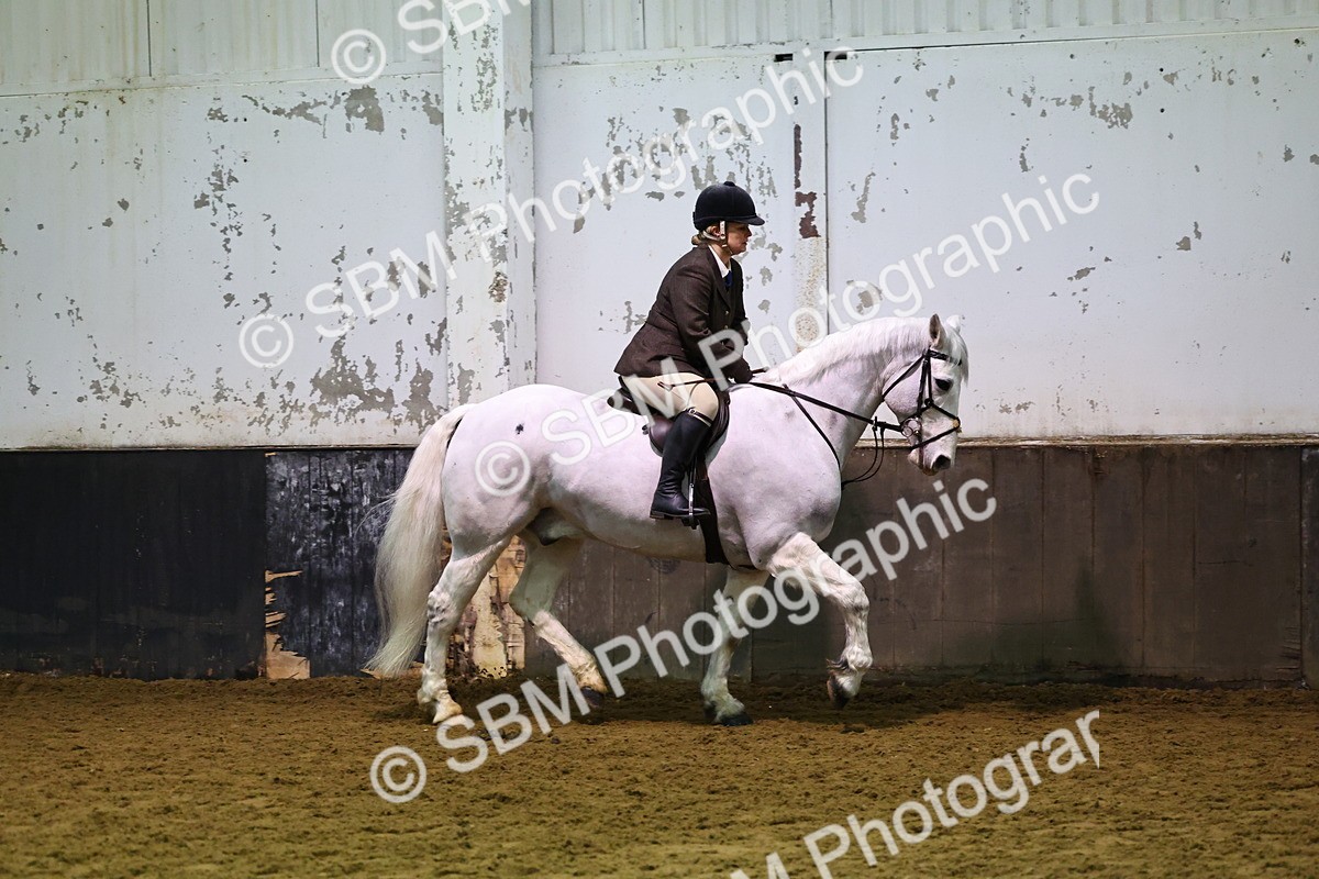 SBM_006724 - Class 43 - RIHS Qualifier Exceeding 43cms