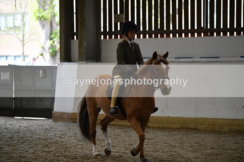 WJ5_6231 - Class 9 Ridden Veteran