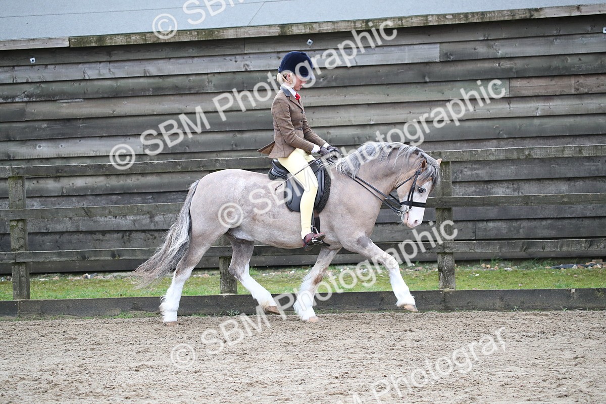 SBM_005910 - Class 10-13 - RIHS Small Large Breeds