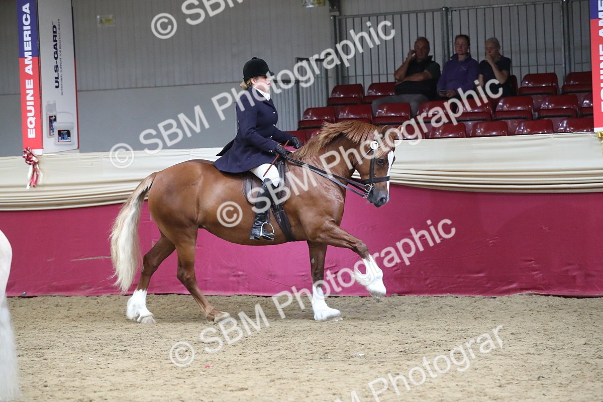 SBM_17191 - M&M Supreme Final Champ