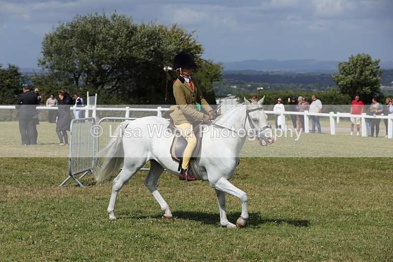 1X9A5774 - Class 40: NPS Welsh A & B