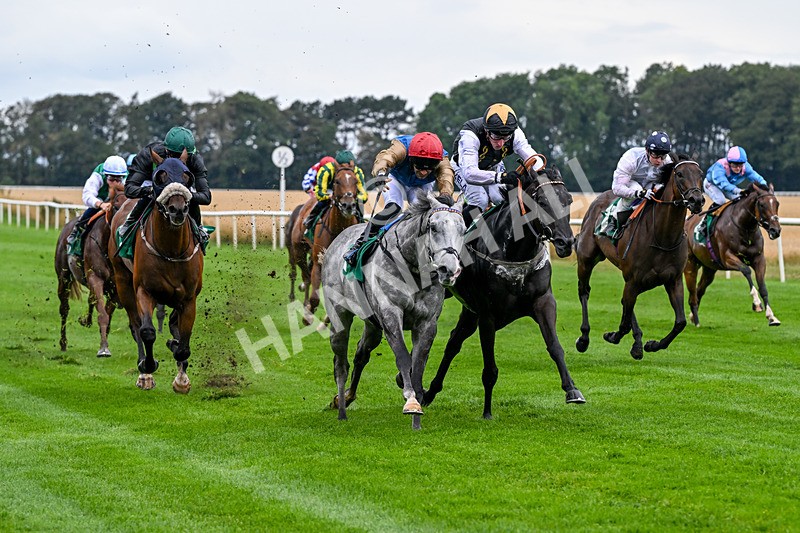 280826-Race 4-Deep Havana-4503 - Race 4 4pm Ivegate Building Handicap