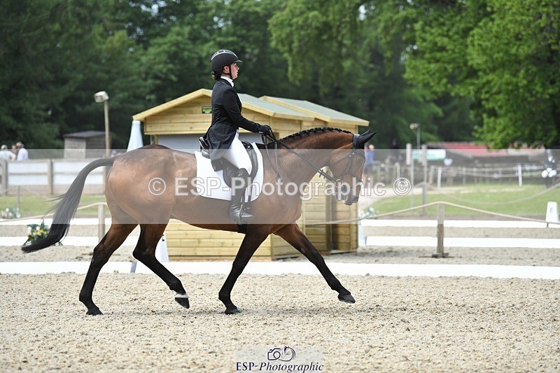 230525-114523-01897 - 103-CLOUDED_LEOPARD-Jessica_Coombes-WEDTrotUp+DR
