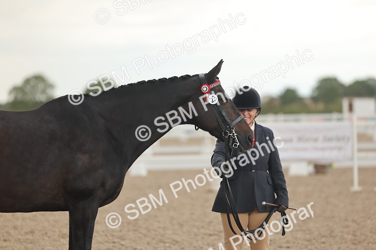 SBM_07677 - Class 26 - IH Foreign Breeds - Part Bred